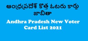 Read more about the article AP Voter List 2021: Download AP Voter Card, New Electoral Roll PDF